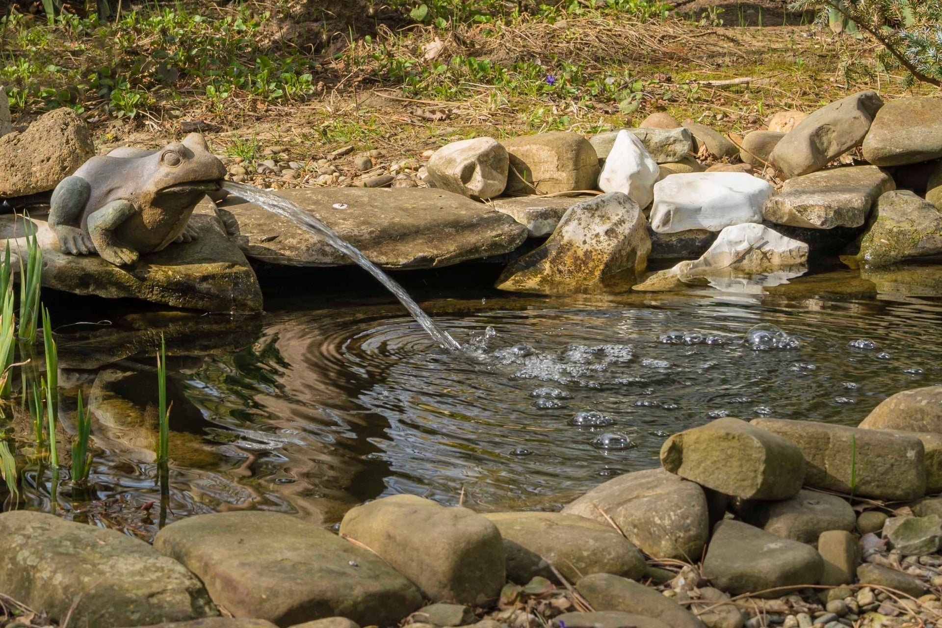 The Beginner’s Guide to Water Features