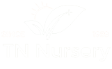 TN Logo Reverse